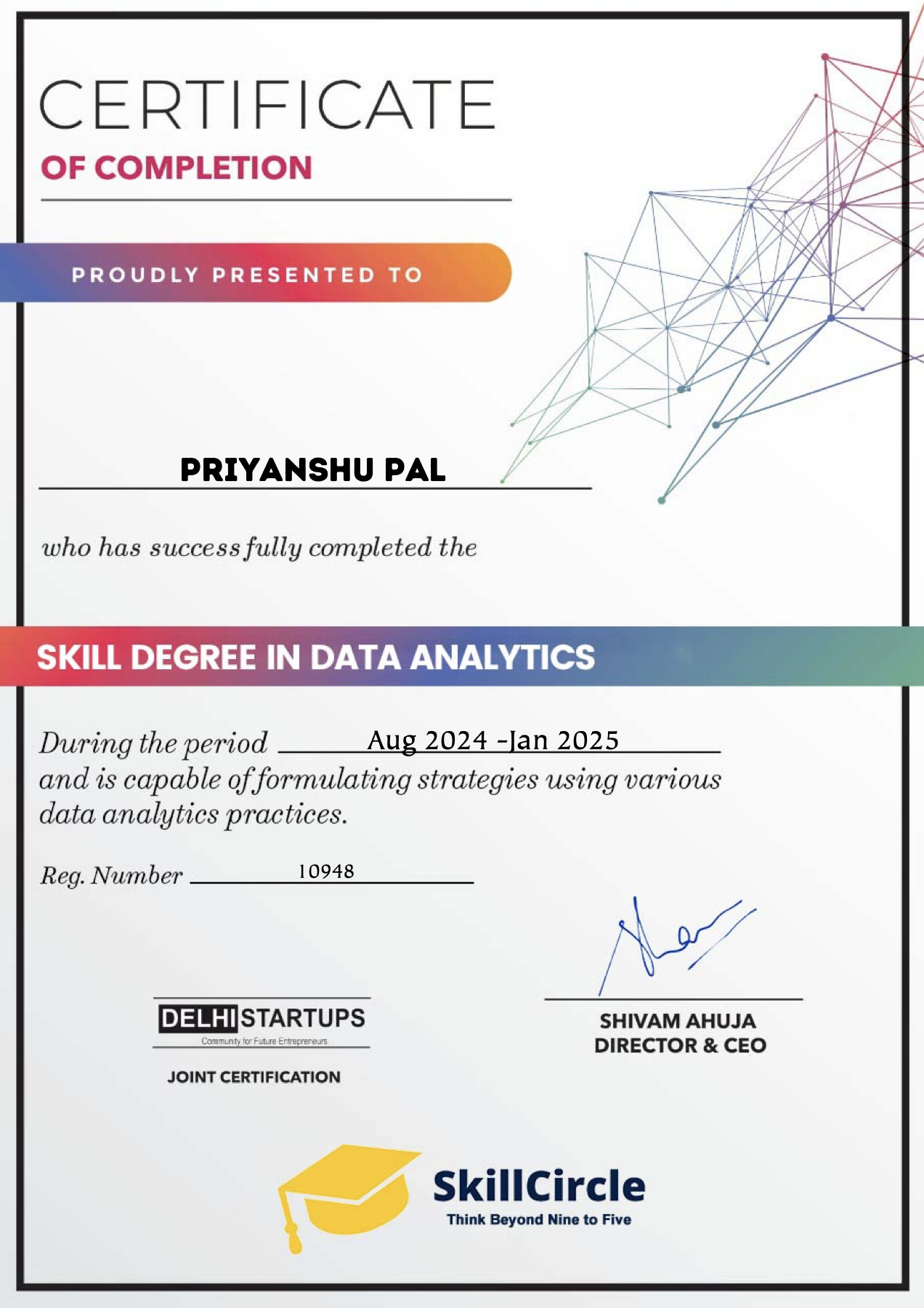 Skill Degree in Data Analytics